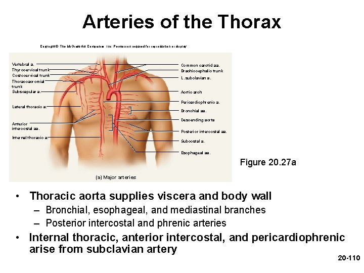 Arteries of the Thorax Copyright © The Mc. Graw-Hill Companies, Inc. Permission required for