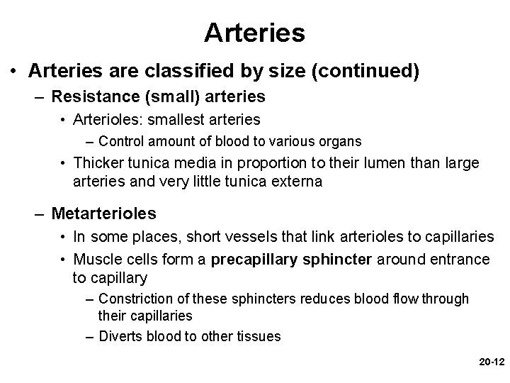Arteries • Arteries are classified by size (continued) – Resistance (small) arteries • Arterioles: