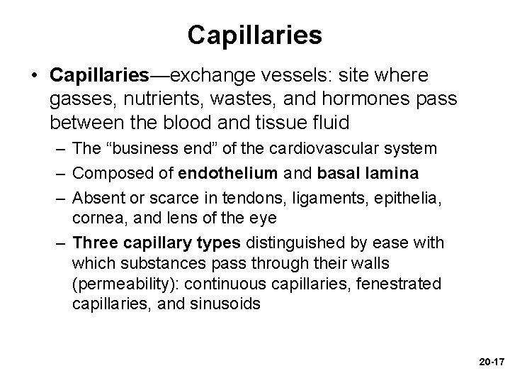 Capillaries • Capillaries—exchange vessels: site where gasses, nutrients, wastes, and hormones pass between the