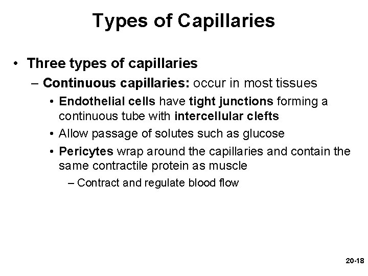 Types of Capillaries • Three types of capillaries – Continuous capillaries: occur in most