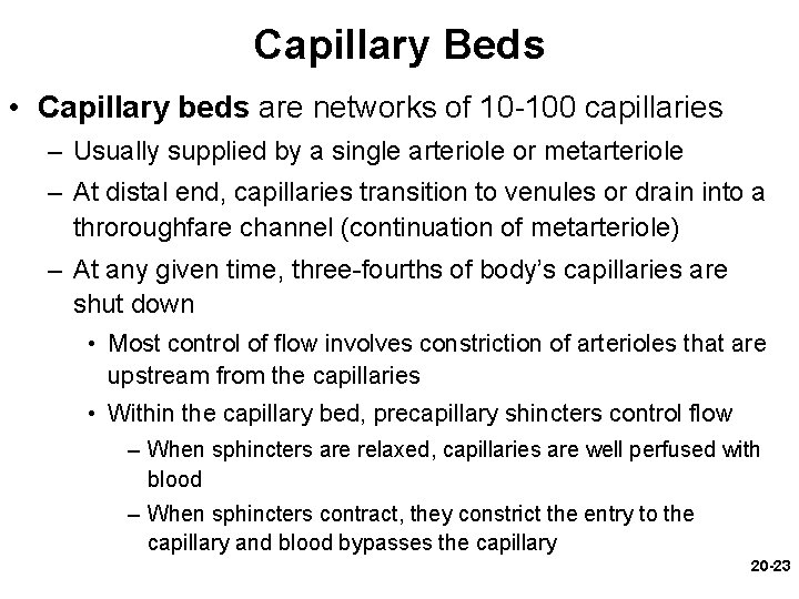 Capillary Beds • Capillary beds are networks of 10 -100 capillaries – Usually supplied