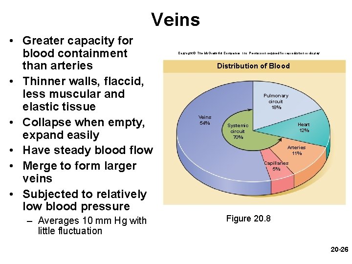 Veins • Greater capacity for blood containment than arteries • Thinner walls, flaccid, less
