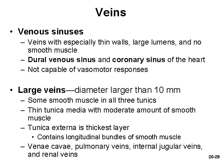 Veins • Venous sinuses – Veins with especially thin walls, large lumens, and no