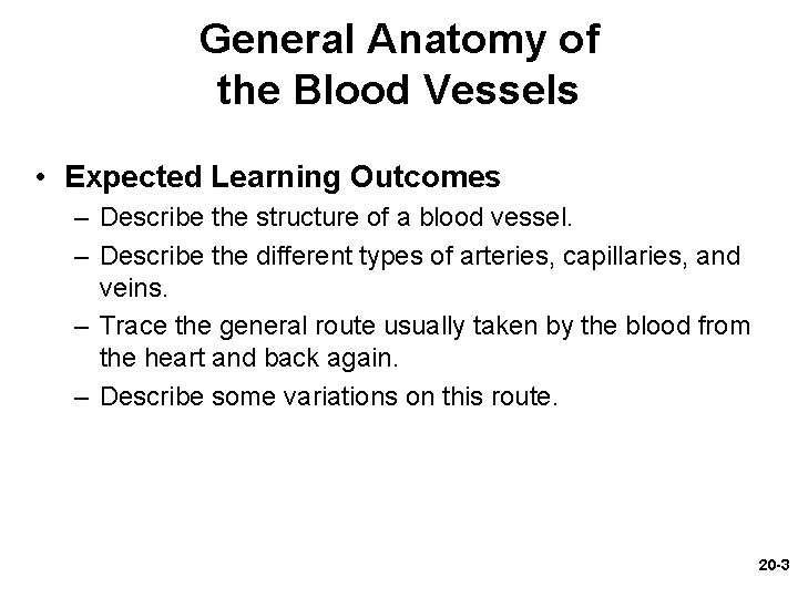 General Anatomy of the Blood Vessels • Expected Learning Outcomes – Describe the structure