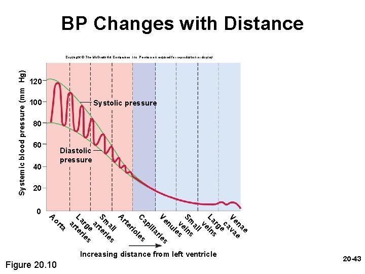 BP Changes with Distance Systemic blood pressure (mm Hg) Copyright © The Mc. Graw-Hill