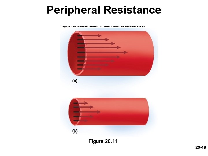 Peripheral Resistance Copyright © The Mc. Graw-Hill Companies, Inc. Permission required for reproduction or