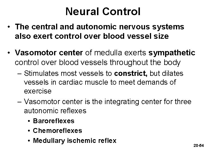 Neural Control • The central and autonomic nervous systems also exert control over blood