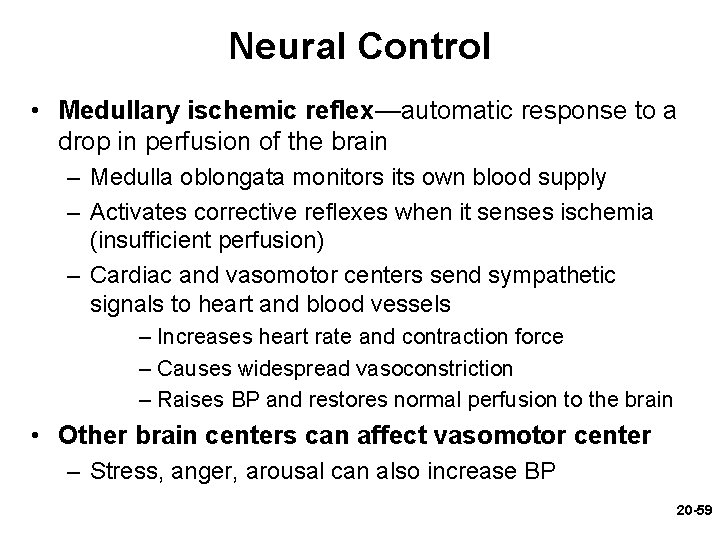 Neural Control • Medullary ischemic reflex—automatic response to a drop in perfusion of the