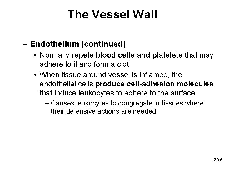 The Vessel Wall – Endothelium (continued) • Normally repels blood cells and platelets that