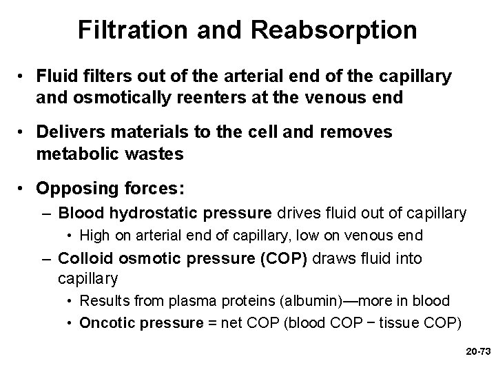 Filtration and Reabsorption • Fluid filters out of the arterial end of the capillary