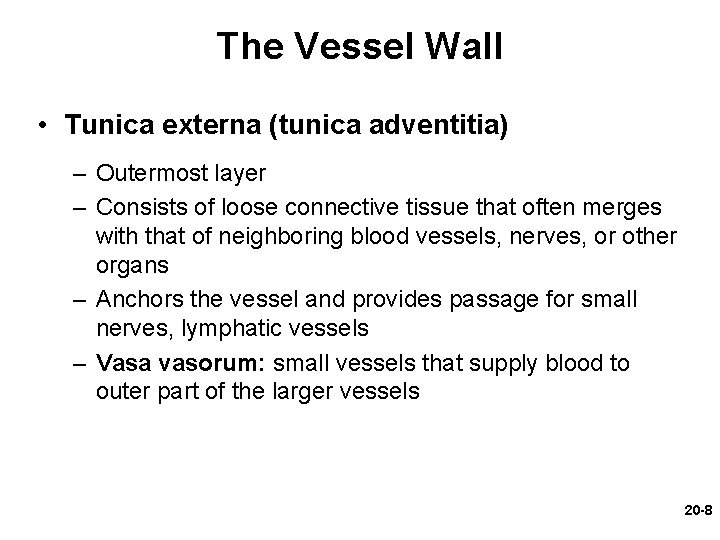 The Vessel Wall • Tunica externa (tunica adventitia) – Outermost layer – Consists of
