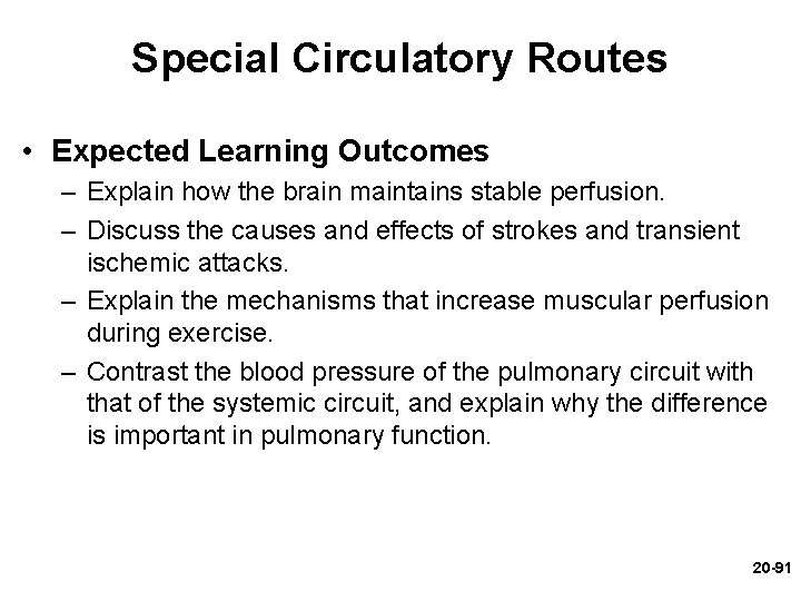 Special Circulatory Routes • Expected Learning Outcomes – Explain how the brain maintains stable