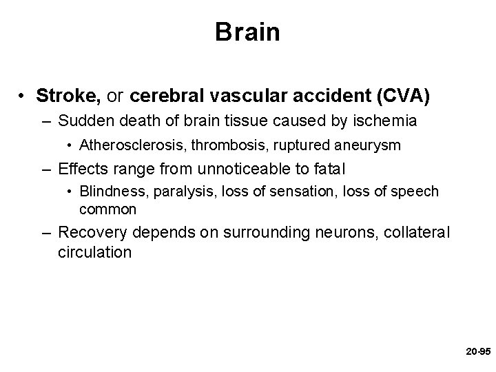 Brain • Stroke, or cerebral vascular accident (CVA) – Sudden death of brain tissue