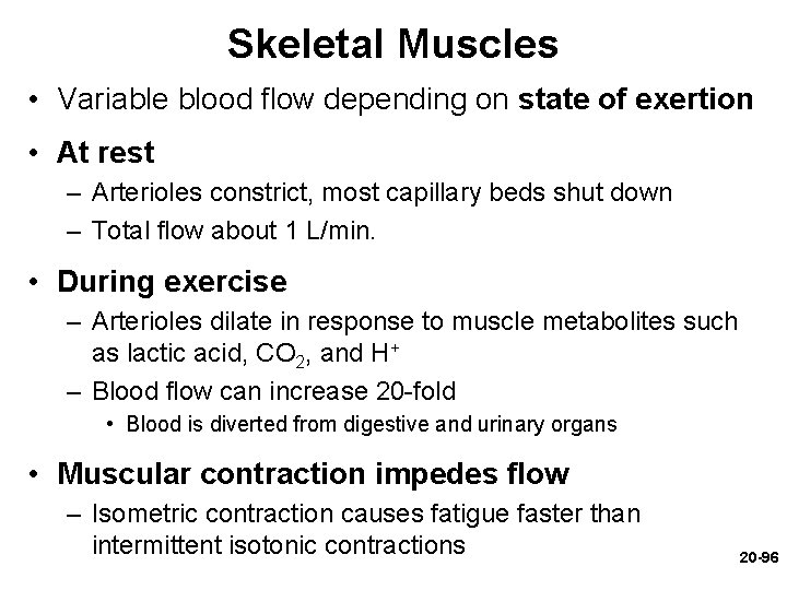 Skeletal Muscles • Variable blood flow depending on state of exertion • At rest