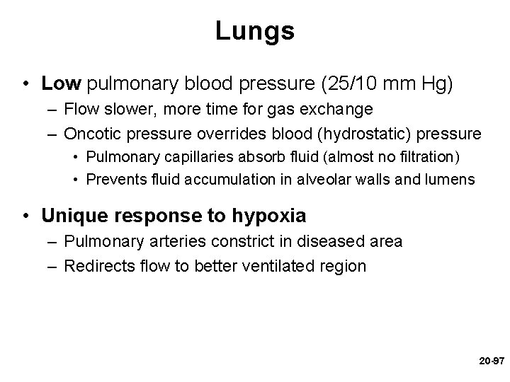 Lungs • Low pulmonary blood pressure (25/10 mm Hg) – Flow slower, more time