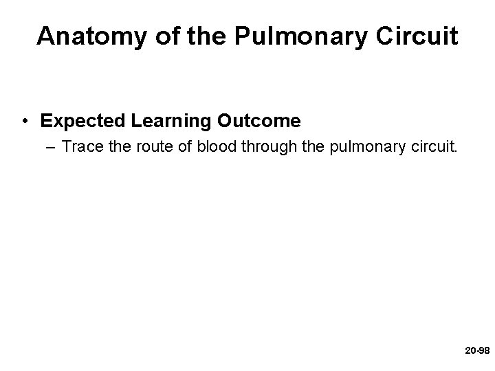 Anatomy of the Pulmonary Circuit • Expected Learning Outcome – Trace the route of