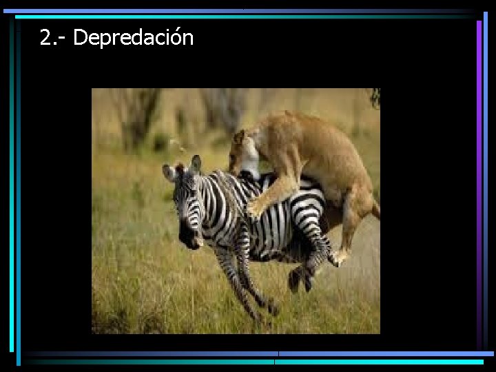 2. - Depredación 