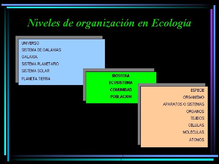 Niveles de organización en Ecología 