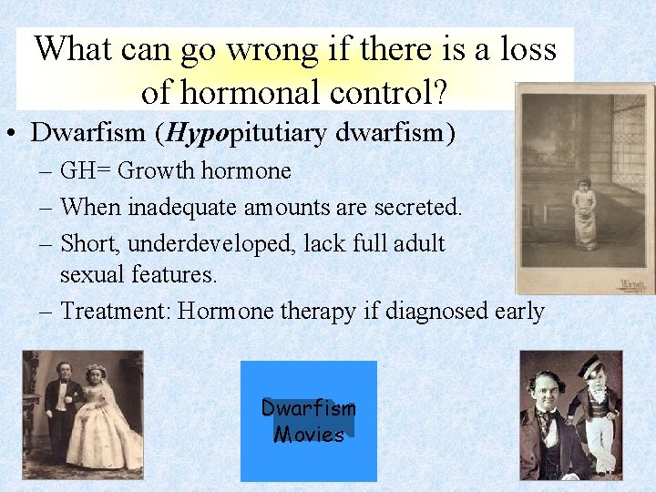 What can go wrong if there is a loss of hormonal control? • Dwarfism What can go wrong if there is a loss of hormonal control? • Dwarfism