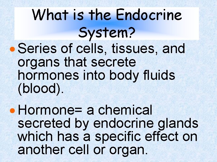 What is the Endocrine System? · Series of cells, tissues, and organs that secrete What is the Endocrine System? · Series of cells, tissues, and organs that secrete