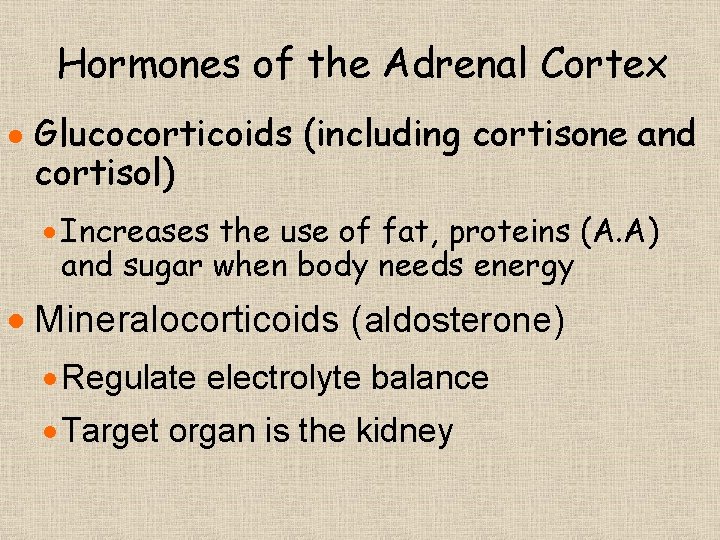Hormones of the Adrenal Cortex · Glucocorticoids (including cortisone and cortisol) · Increases the Hormones of the Adrenal Cortex · Glucocorticoids (including cortisone and cortisol) · Increases the