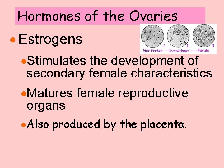 Hormones of the Ovaries · Estrogens ·Stimulates the development of secondary female characteristics ·Matures Hormones of the Ovaries · Estrogens ·Stimulates the development of secondary female characteristics ·Matures