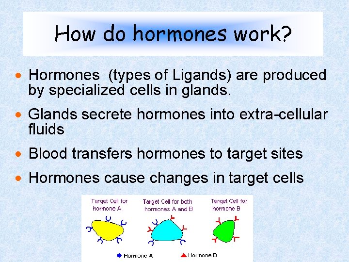 How do hormones work? · Hormones (types of Ligands) are produced by specialized cells How do hormones work? · Hormones (types of Ligands) are produced by specialized cells