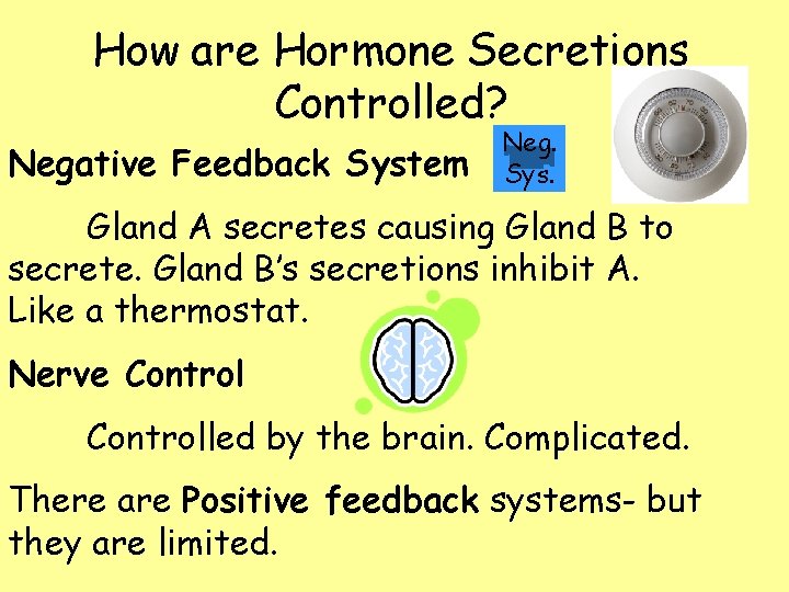 How are Hormone Secretions Controlled? Negative Feedback System Neg. Sys. Gland A secretes causing How are Hormone Secretions Controlled? Negative Feedback System Neg. Sys. Gland A secretes causing