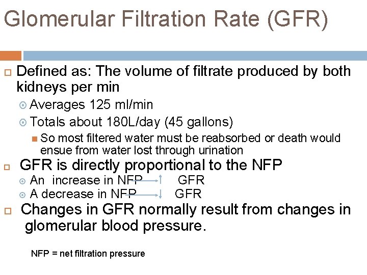 Glomerular Filtration Rate (GFR) Defined as: The volume of filtrate produced by both kidneys