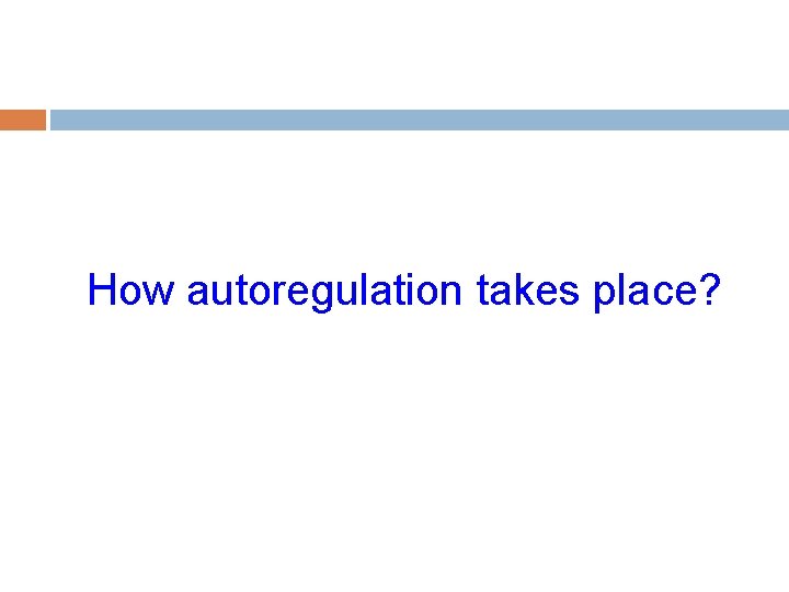 How autoregulation takes place? 