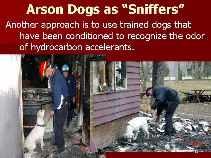Arson Dogs as “Sniffers” Another approach is to use trained dogs that have been