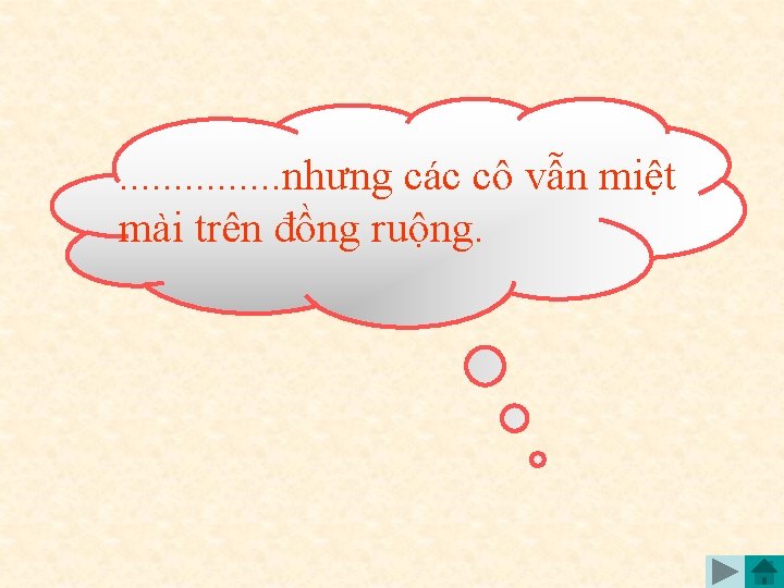 . . . . nhưng các cô vẫn miệt mài trên đồng ruộng. 