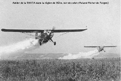 Auster de la SNATA dans la région de Bône, sur du coton (Roland Richer