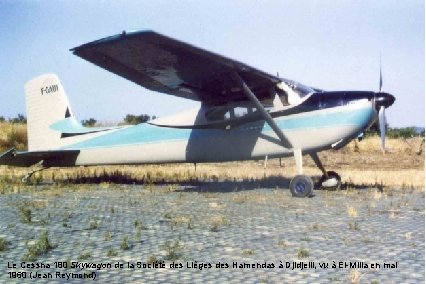 Le Cessna 180 Skywagon de la Société des Lièges des Hamendas à Djidjelli, vu