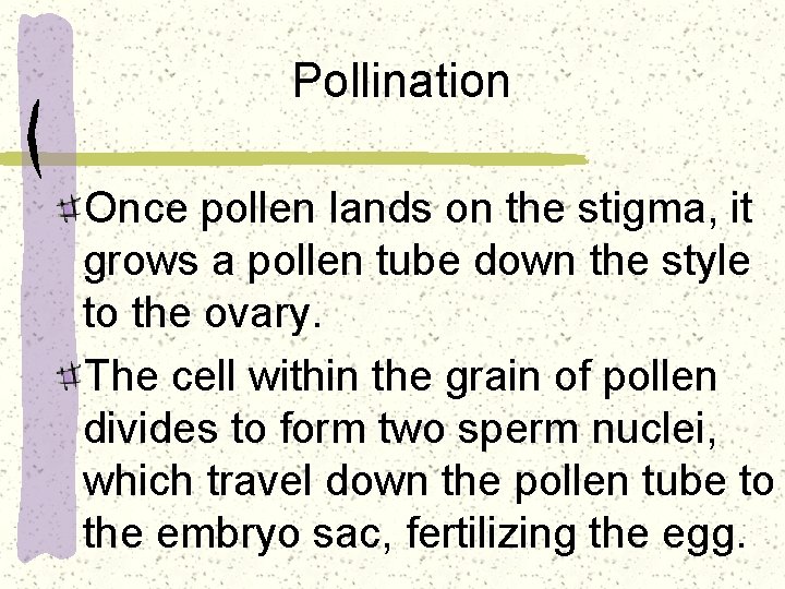 Pollination Once pollen lands on the stigma, it grows a pollen tube down the