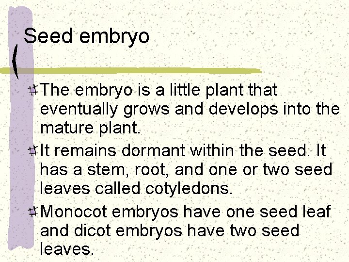 Seed embryo The embryo is a little plant that eventually grows and develops into