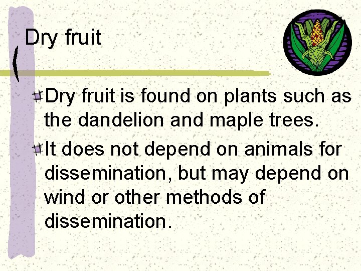 Dry fruit is found on plants such as the dandelion and maple trees. It
