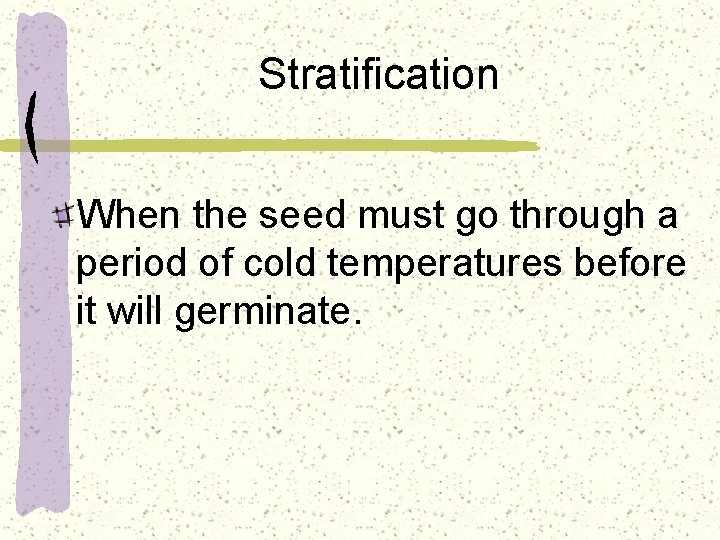 Stratification When the seed must go through a period of cold temperatures before it