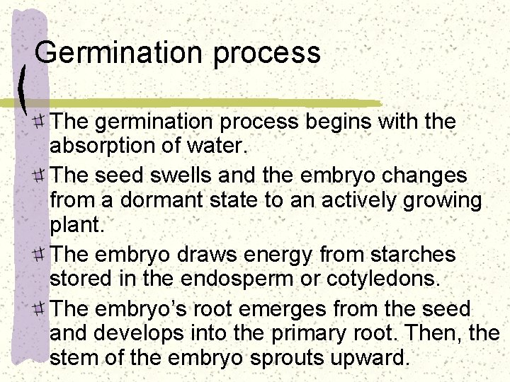 Germination process The germination process begins with the absorption of water. The seed swells