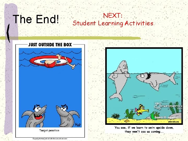 The End! NEXT: Student Learning Activities 