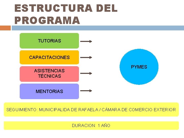 ESTRUCTURA DEL PROGRAMA TUTORIAS CAPACITACIONES PYMES ASISTENCIAS TÉCNICAS MENTORIAS SEGUIMIENTO: MUNICIPALIDA DE RAFAELA /