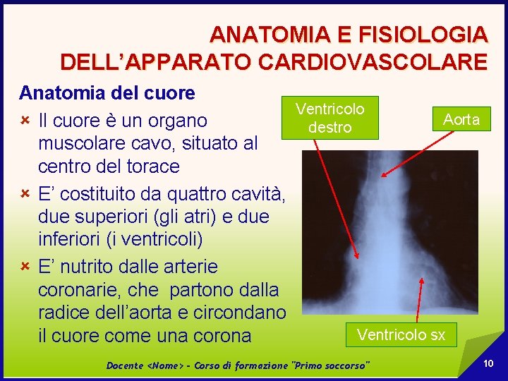 ANATOMIA E FISIOLOGIA DELL’APPARATO CARDIOVASCOLARE Anatomia del cuore Ventricolo Aorta û Il cuore è