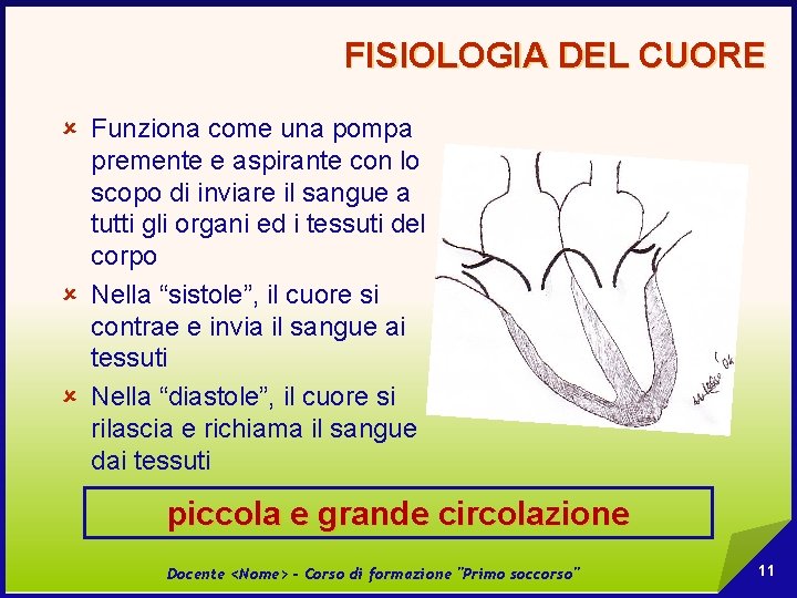 FISIOLOGIA DEL CUORE û Funziona come una pompa premente e aspirante con lo scopo