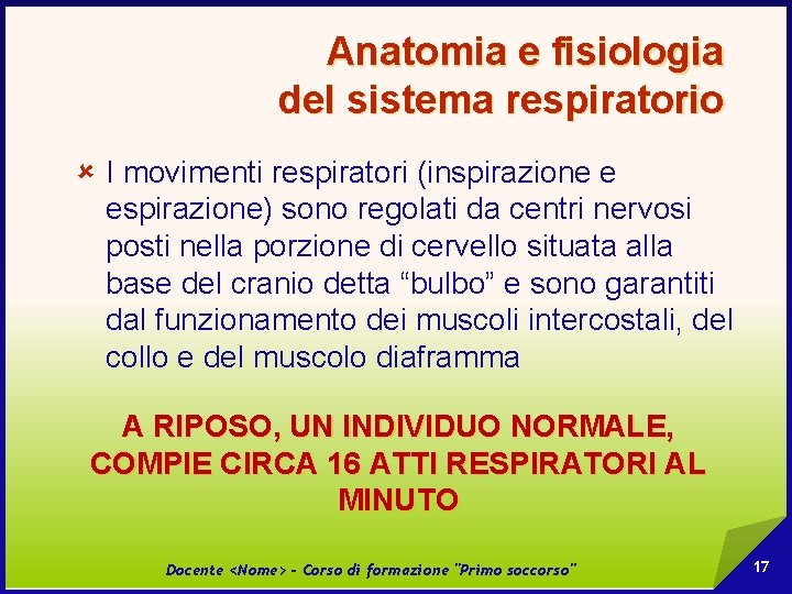 Anatomia e fisiologia del sistema respiratorio û I movimenti respiratori (inspirazione e espirazione) sono