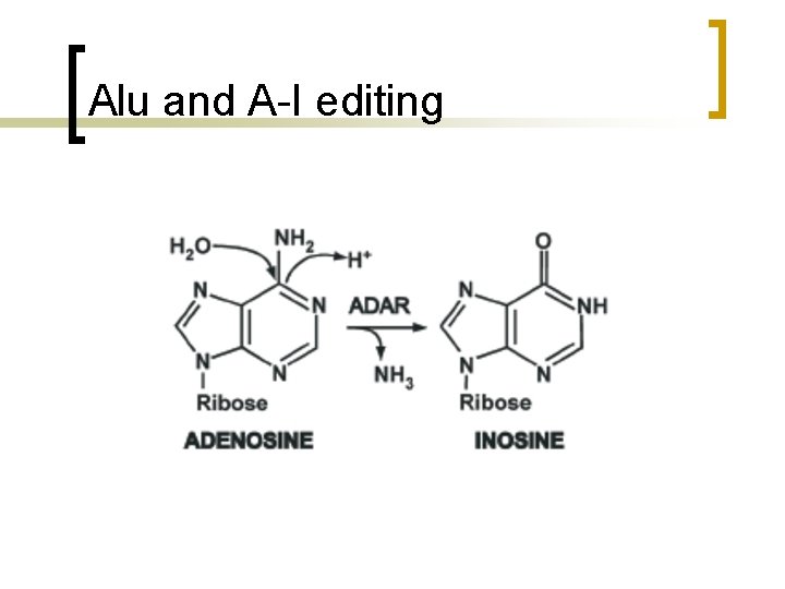 Alu and A-I editing 