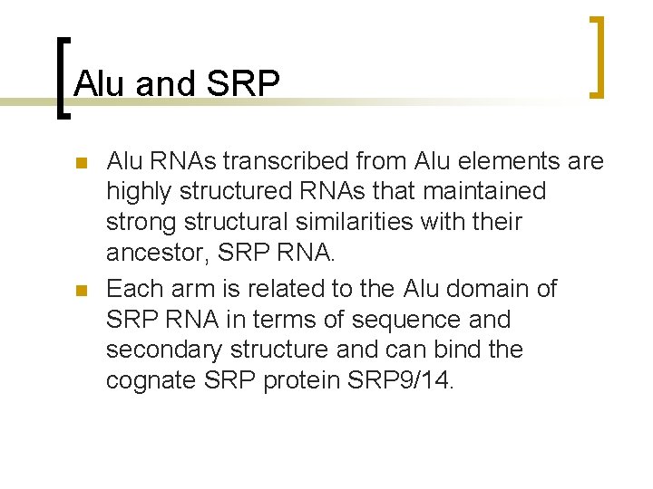 Alu and SRP n n Alu RNAs transcribed from Alu elements are highly structured