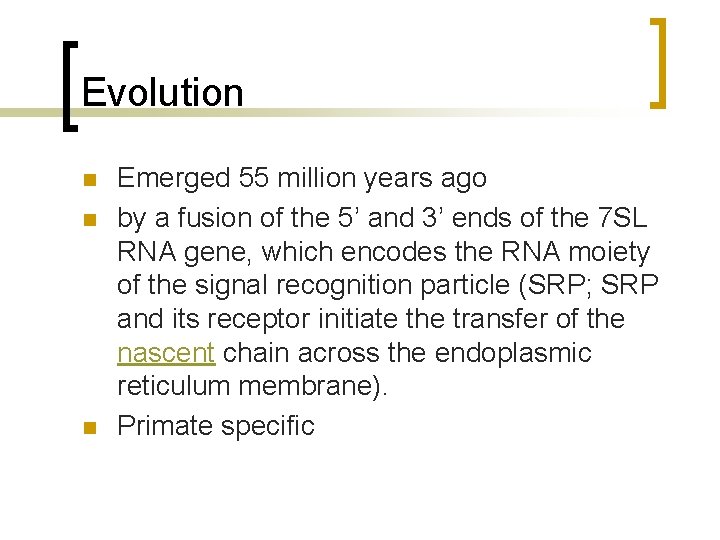 Evolution n Emerged 55 million years ago by a fusion of the 5’ and