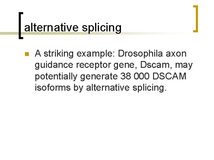 alternative splicing n A striking example: Drosophila axon guidance receptor gene, Dscam, may potentially