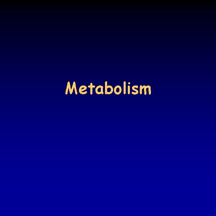 Metabolism 