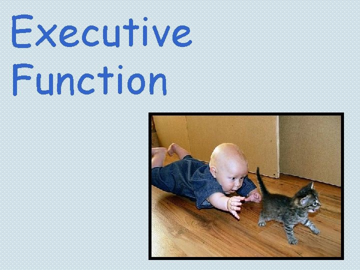 Executive Function 